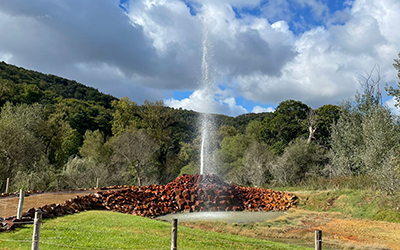 Ausflug zum Kaltwasser-Geysir in Andernach